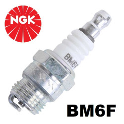 Bougie NGK BM6F