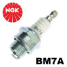 Bougie NGK BM7A