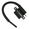 Bobine d'Allumage pour Suzuki DR 750 / 800S Big