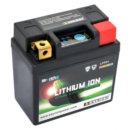 Batterie Skyrich Lithium-Ion LFP01