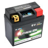 Batterie Skyrich Lithium-Ion LFP01