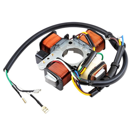 Stator Allumage 12 Volts pour Piaggio 50 Ciao