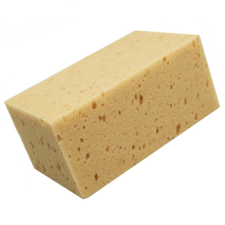 Éponge à Laver Arexons Super Absorbande