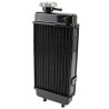 Radiateur Type Minarelli AM6 pour Moto Generic 50 Trigger