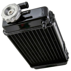 Radiateur Type Minarelli AM6 pour Moto Generic 50 Trigger