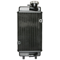 Radiateur Type Minarelli AM6 pour Moto Generic 50 Trigger