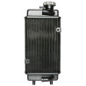 Radiateur Type Minarelli AM6 pour Moto Generic 50 Trigger