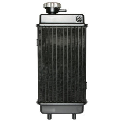Radiateur Type Minarelli AM6 pour Moto Generic 50 Trigger