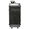 Radiateur Type Minarelli AM6 pour Moto Generic 50 Trigger