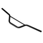 Guidon