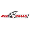 All Balls Racing